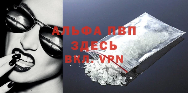 прущие грибы Абаза