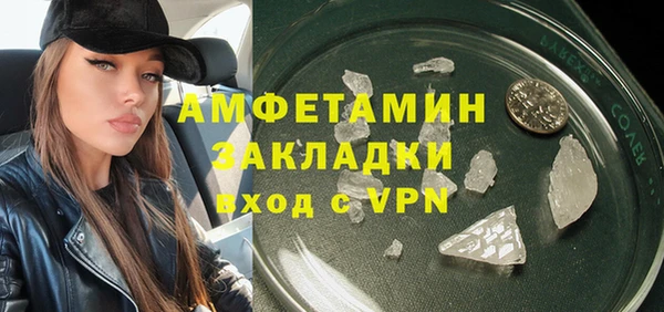 прущие грибы Абаза