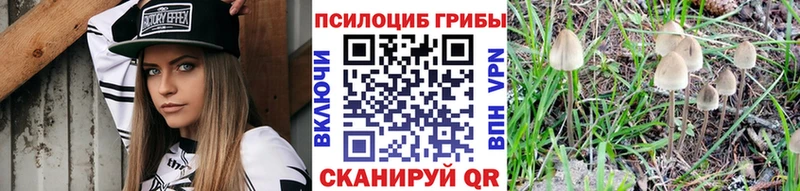 Галлюциногенные грибы Cubensis  где можно купить наркотик  Павловский Посад 